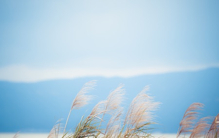 西北大學(xué)專業(yè)碩士熱門(mén)招生專業(yè)推薦！