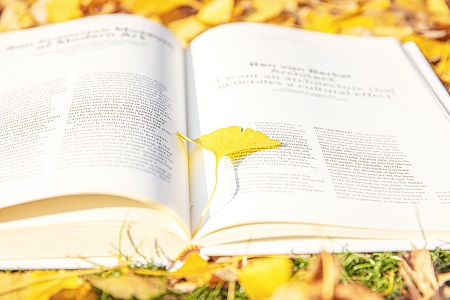 南昌大學MBA招生時間安排！