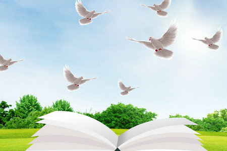 比利時列日大學國際碩士招生專業