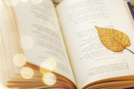 上海財(cái)經(jīng)大學(xué)MPAcc招生流程