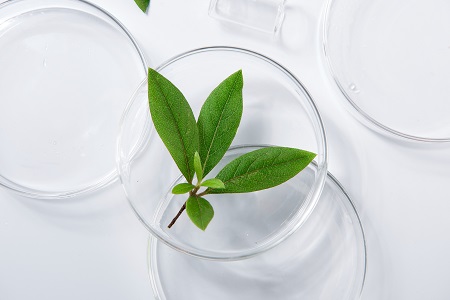 中國社會科學院研究生院中外合作辦學招生學費