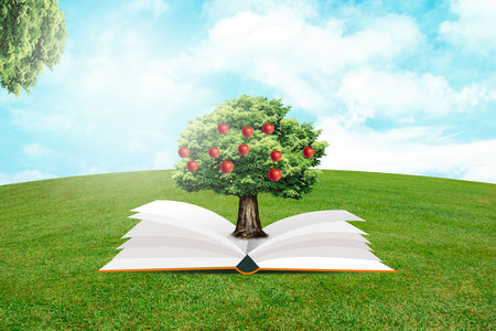 理論物理在職研究生在江西地區招生詳情 理論物理在職研究生在江西地區招生詳情