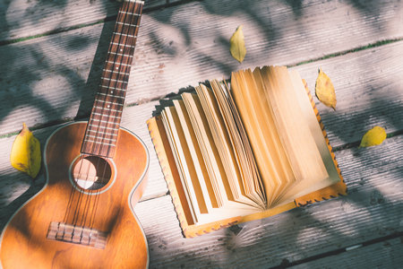 公共衛(wèi)生與預(yù)防醫(yī)學(xué)在職研究生招生條件