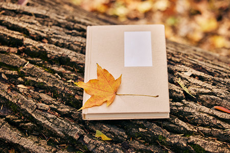 中國傳媒大學高級研修班招生流程