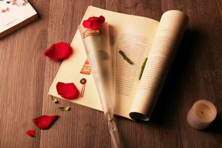 北京電影學(xué)院在職研究生招生簡(jiǎn)章