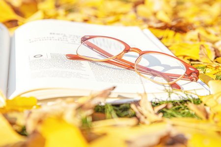 發(fā)展與教育心理學(xué)在職博士招生簡(jiǎn)章2025