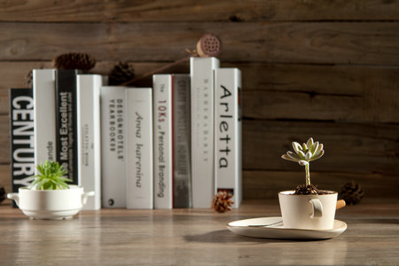 沈陽農業大學在職研究生招生簡章