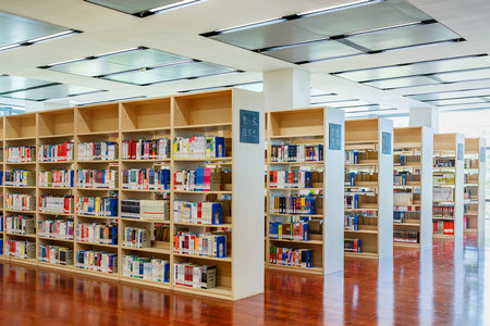 卡米洛何塞塞拉大學國際碩士招生對象