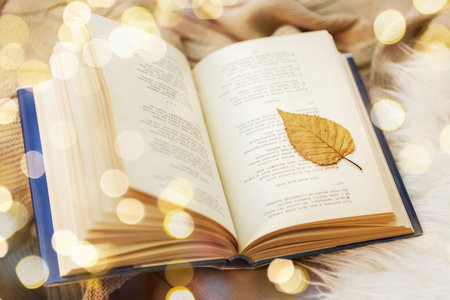 2026國際工商管理碩士（IMBA）中外合辦招生時(shí)間