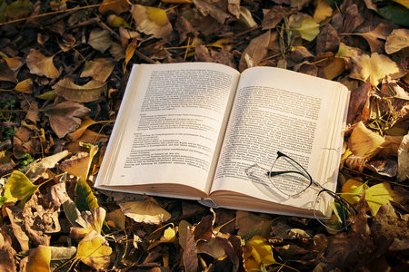 2026年西安外國語大學同等學力申碩招生簡章