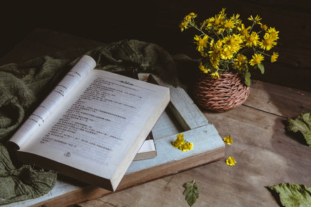 中國政法大學在職研究生招生