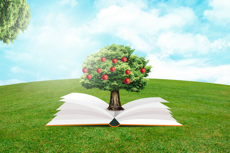 山東理工大學紡織工程非全日制研究生招生條件