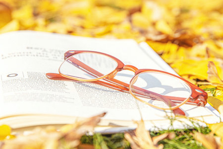 中國(guó)社會(huì)科學(xué)院研究生院勞動(dòng)經(jīng)濟(jì)學(xué)在職博士上課方式