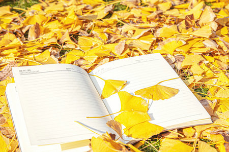 河南財經(jīng)政法大學工商管理在職研究生上課方式