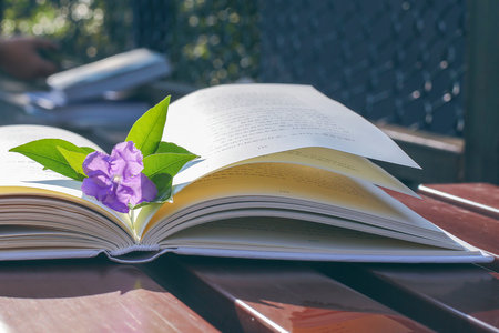 中國科學院心理研究所心理學在職博士學制學費