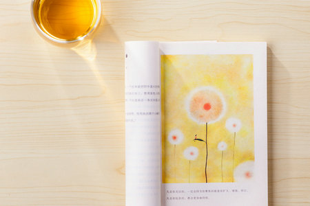 華東師范大學同等學力申碩招生專業目錄一覽表