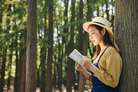美國韋伯斯特大學中外合作辦學招生簡章