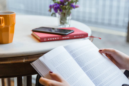 胡安卡洛斯國王大學(xué)國際博士招生流程