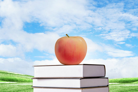 西南林業大學MPA招生條件