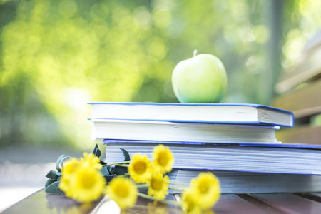 內蒙古財經大學MPA學費