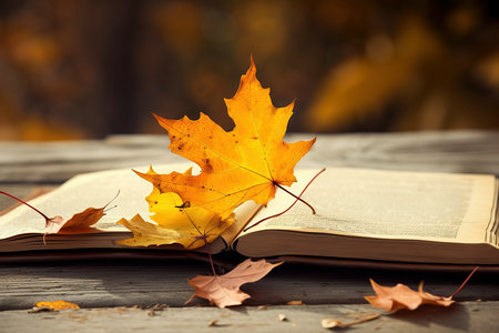 四川農業大學MF招生類型