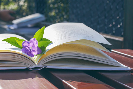 西安電子科技大學MPA成績什么時候出 西安電子科技大學MPA成績什么時候出